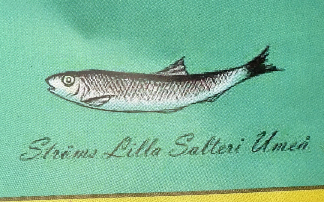 Surströmming i Ströms Marina